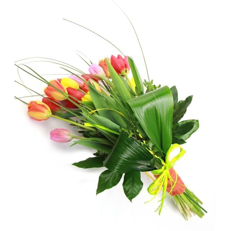 Tulipanes Mix