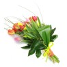 Tulipanes Mix