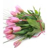 Tulipes Rosades