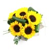 Comprar Girasoles