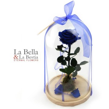 Rosa La Bella y La Bestia azul