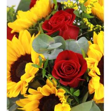 Girasoles y Rosas