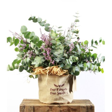 Eucalyptus and Statice Stylish Flowers with Free Shipping. Your Florist