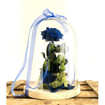 Rosa Bella i la Bestia