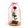 Beauty Beast Rose
