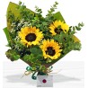 TRIO DE GIRASOLES