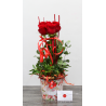 Box with Red Roses. Special bouquets of Roses with free delivery