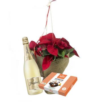 Pascuero Plant with Cava and chocolates. Free home delivery