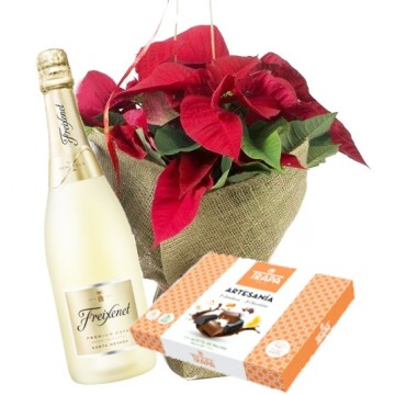 Pascuero Plant with Cava and chocolates. Free home delivery