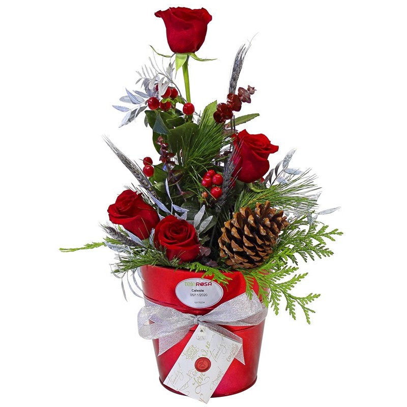 Christmas Roses Center, Flowers at home. Free Delivery