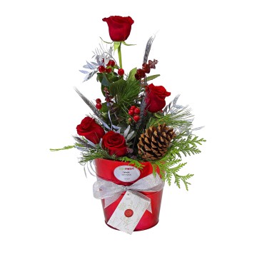Christmas Roses Center, Flowers at home. Free Delivery