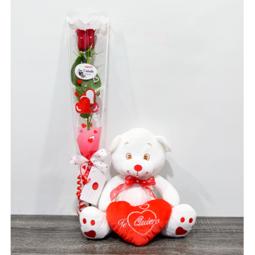Give Love on Valentine's Day Roses FREE Shipping Flowers Teddy