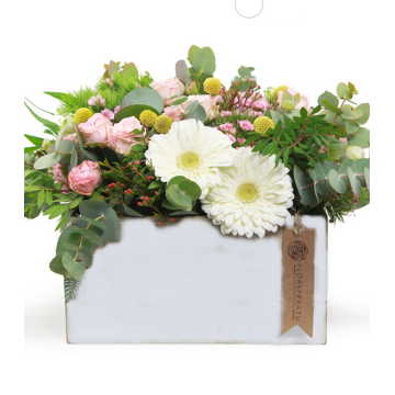 Flors Taj Majal Floristeria a Domicili Gratis Regalar Caixa amb Flor