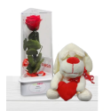 Rosa Eterna i Peluix Amor