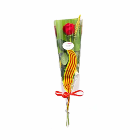 Rosa día de Sant Jordi Regalar Rosa Roja Cataluña a Domicilio