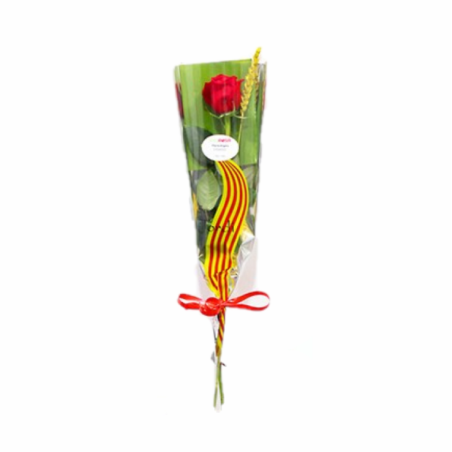 Rose Day of Sant Jordi Give a Red Rose Catalonia at Home