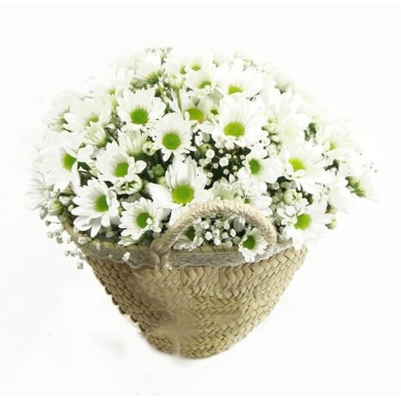 Basket of Daisies Free Shipping!! of Flowers Bouquet of Daisies