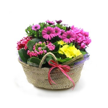 Cistella Cabàs de Flors Alegres, acolorides i primaveral Flors per a tu