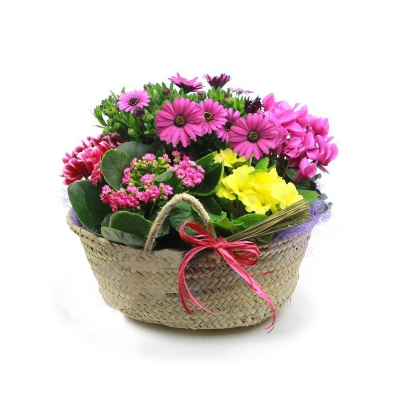 Cistella Cabàs de Flors Alegres, acolorides i primaveral Flors per a tu