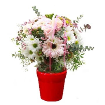 Flores y cerámica Montana Regalo de Flores Bonitos a Domicilio Gratis
