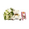 Pure White Beauty & Bear
