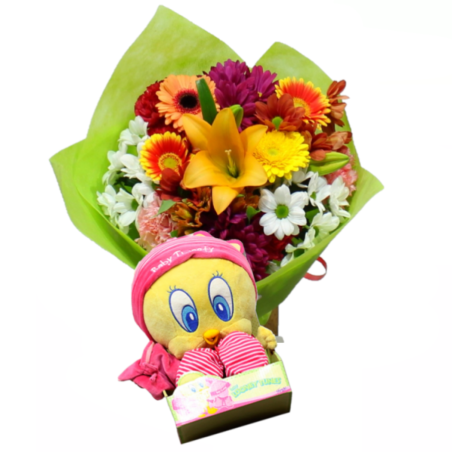 Buy Flowers and Stuffed Animals as Gifts. Free Home Delivery