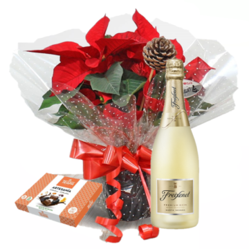 Pascuero Plant with Cava and chocolates. Free home delivery