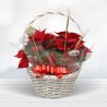 Christmas Basket Plants Poisenttia Free Delivery