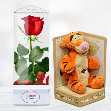 Rosa Eterna Preservada San Valentín Peluche Floristería Barata