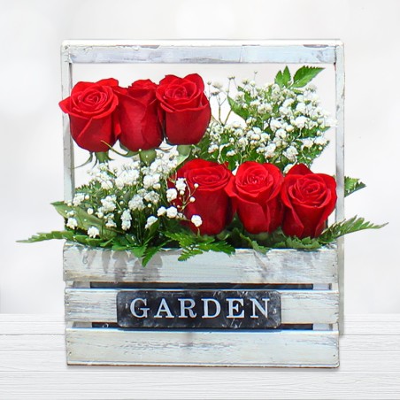 Enviar Rosas a Domicilio Jadín de Rosas Rojas. Flores Envío Gratis