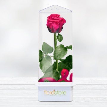 Preserved Eternal Rose. Rose forever. Free Delivery