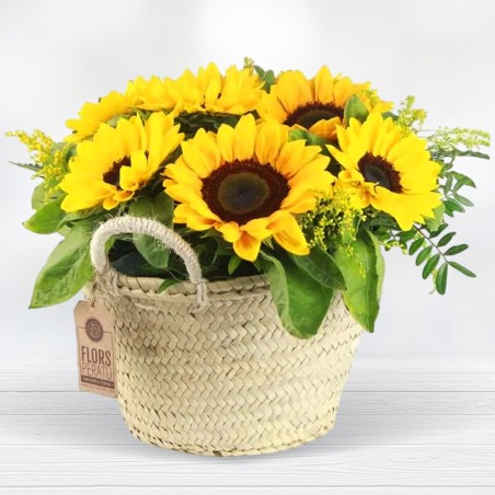 Capazo de Girasoles - Comprar Girasoles entrega a domicilio Gratis