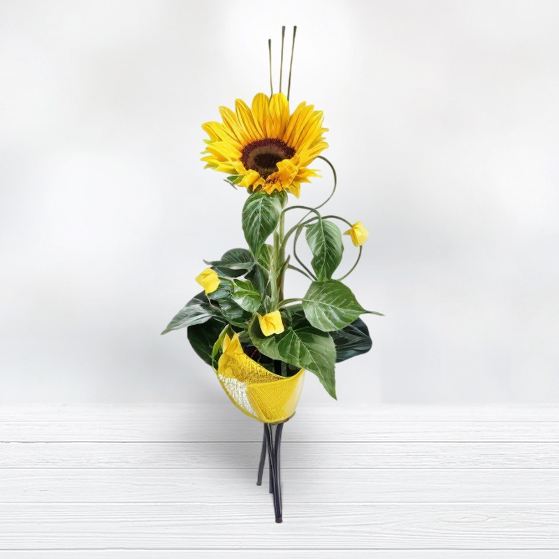 Comprar Girasol Regalar Ramos de Girasoles Envío Gratis florestore