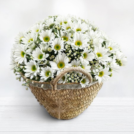 Basket of Daisies Free Shipping!! of Flowers Bouquet of Daisies