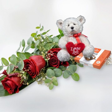 Ramo de Rosas con Peluche y Bombones a domicilio. Regala Flores