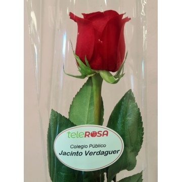 Etiqueta 25ud. personalizada