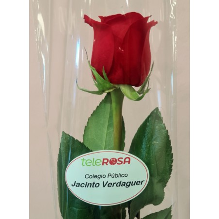 Etiqueta 25ud. personalizada