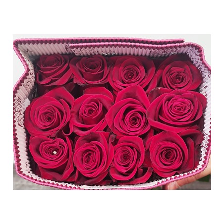 Set 25 Rosas