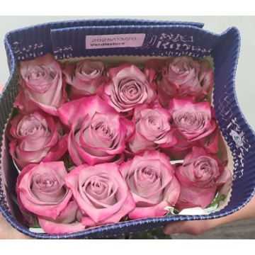 Paquete 25 rosas Rosa