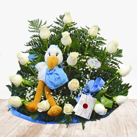 Regalos para Nacimiento Regalo para Bebé Entrega Gratis Centro Azul