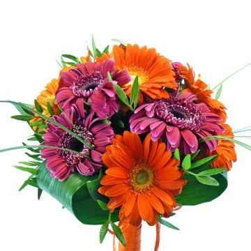 Bouquet de Gerberes