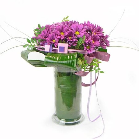 Fuchsia daisies & vase