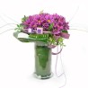 Fuchsia daisies & vase