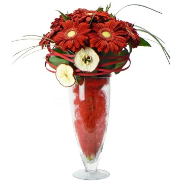 Bouquet de Gerberas para regalar. Comprar Ramo de Gerberas con Jarrón