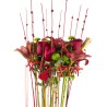 Give Roses and Lilium or Lilies. Best Florist Free Delivery