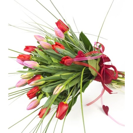 Ramo de Tulipanes a Domicilio | Comprar Tulipanes | ¡Envío Gratis!