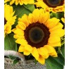 Sunflower basket