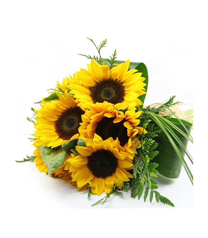 Comprar ramo de girasoles - Florestore