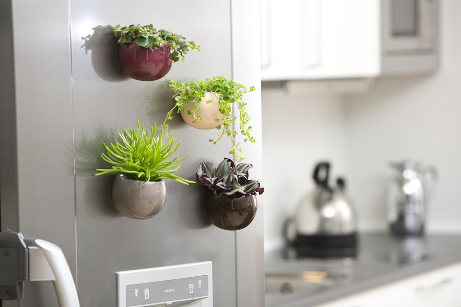 Como Decorar Casas Para Regalo Como Decorar Casas Para Regalo